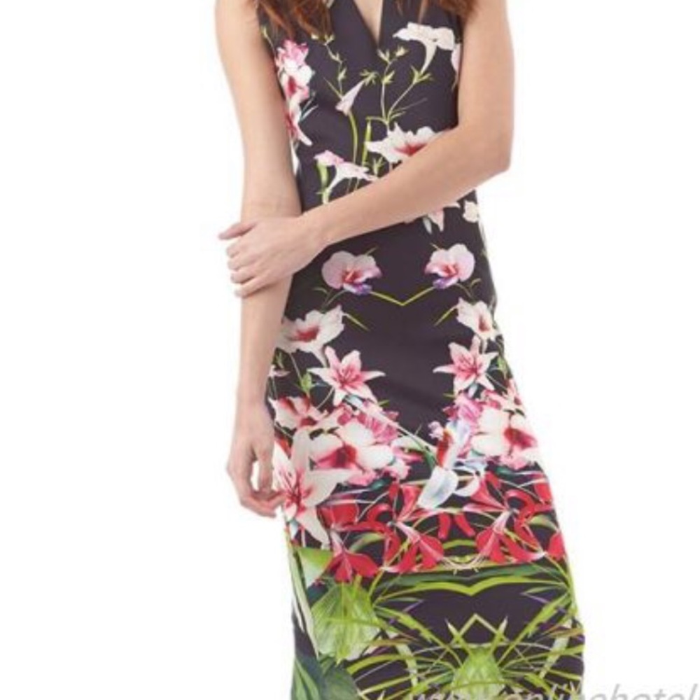 Ted Baker London Dress